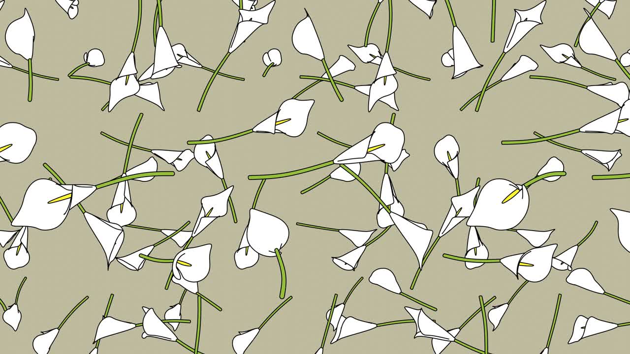 베이지색 배경에 색 칼라 릴리 꽃이 있습니다.