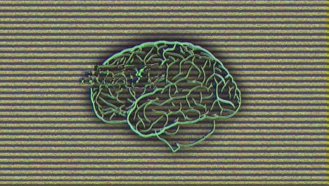 brain on grey background