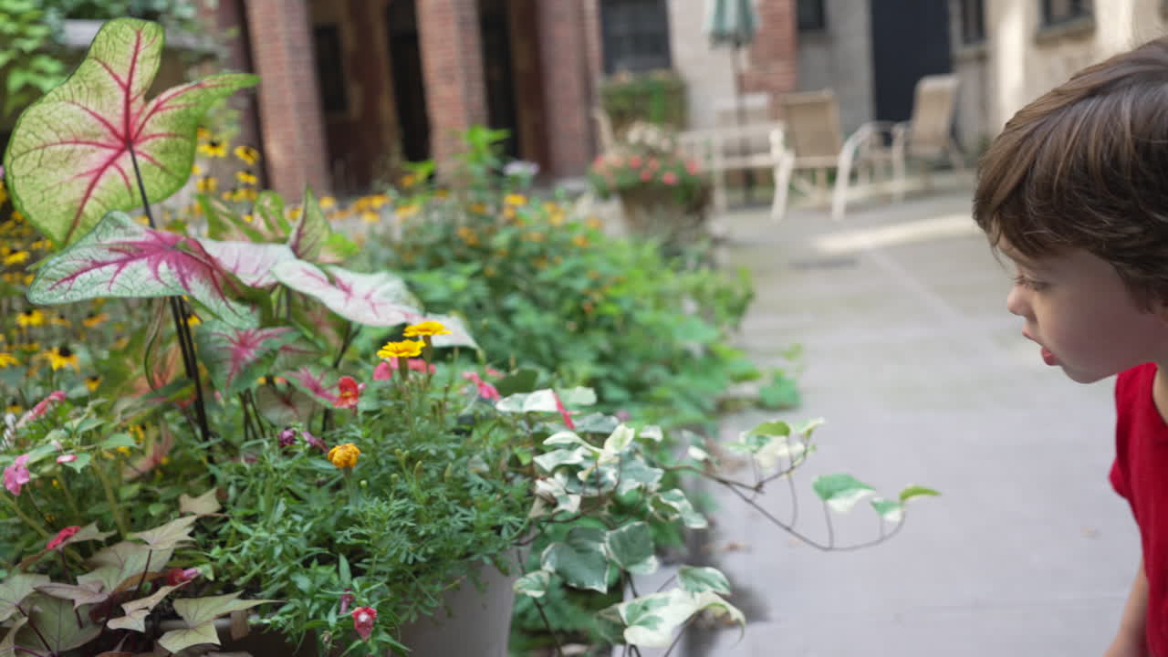 un niño caucásico aislado tocando las plantas y flores en el jardín exterior