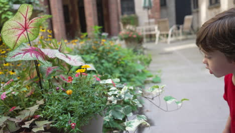 one isolated caucasian boy touching the plants and flowers in exterior garden