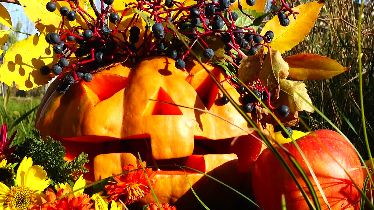 Abóbora assustadora de Halloween. O monstro senta-se em um toco de árvore