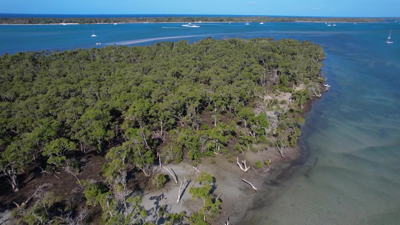Árvores densas sobre a Ilha Crab, no litoral, perto de Runaway Bay, em Gold Coast, Queensland, Austrália. Imagem aérea de drone