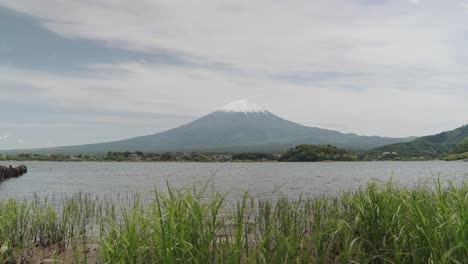 timelapse overlooking kawaguchi lake with stunning and majestic mt. fuji in the background, while green grass in the foreground sways gently in the breeze under a sunny sky in japan.