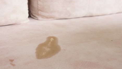 Light Beige Couch with a Stain