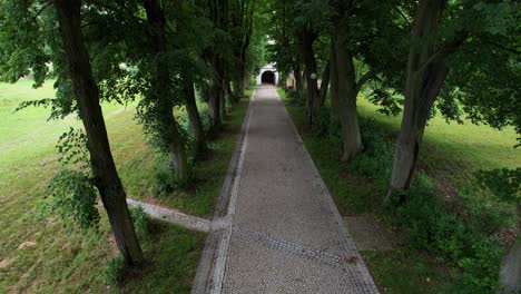 slow flight of tree alleys down the road to the tunnel in summer in the czech republic