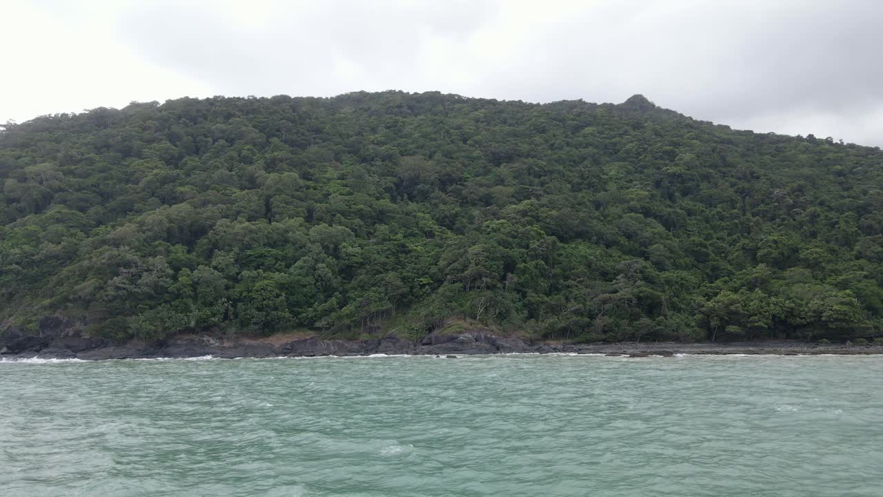 deslumbrante paisaje natural desde un crucero en ferry por el río daintree