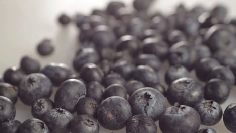 Group-of-fresh-blueberries-isolated