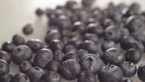 group of fresh blueberries isolated