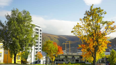 Colourful-and-vibrant-city-living-with-autumn-season-trees-and-sunny-sky