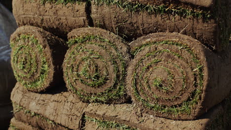 rolled lawn pallets. ready-to-plant material for a beautiful green lawn