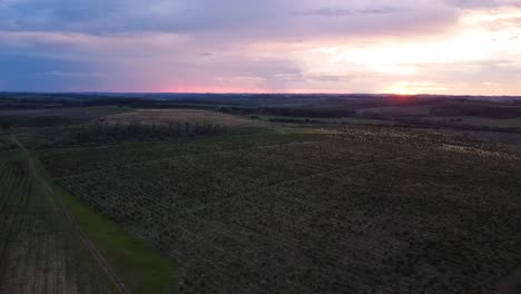 epic pano view, sunset over the over yerba mate plantation in apostoles, argentina