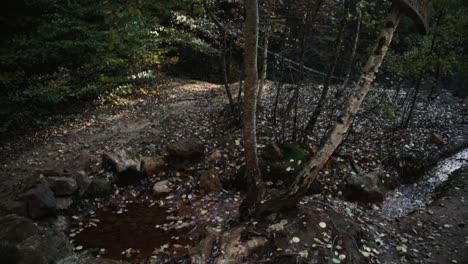 El-Pozo-Rojo-En-Un-Bosque-Serbio