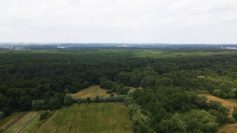 Aéreo:-Experimente-La-Tranquilidad-De-Los-Paisajes-Naturales-Y-Los-Pintorescos-Paisajes-Urbanos-Del-Sarre-Con-Fascinantes-Imágenes-De-Drones-Que-Capturan-Bosques-Frondosos,-Ríos-Sinuosos-Y-Pueblos-Pintorescos.