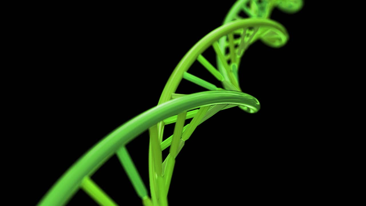adn giratorio rna doble hélice ciencia lenta microscopio electrónico de primer plano dof 4k