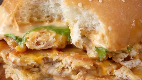 juicy chicken burger close-up