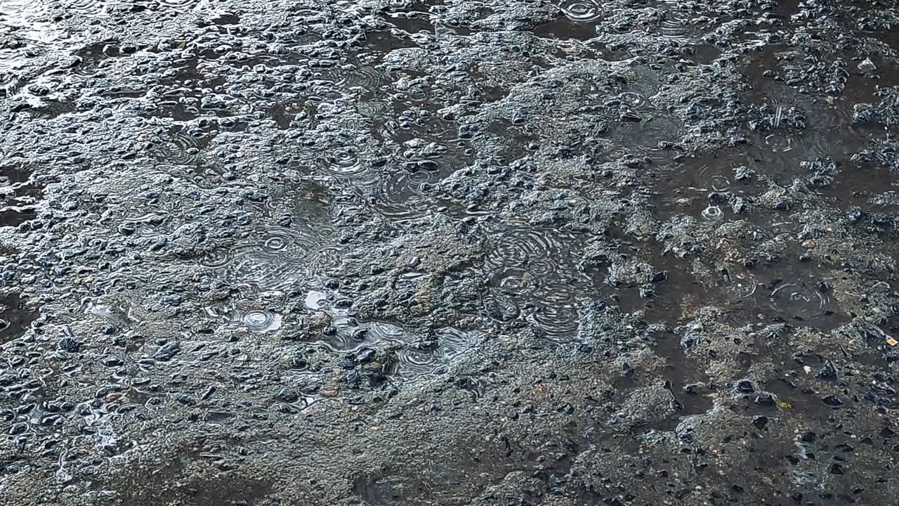 Close-up of rain droplets falling on wet asphalt road. Perfect for monsoon, weather, climate or mood-based visuals. Captures ripples and textures of rainfall.
