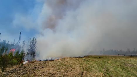 Aerial-view-pan-of-forest-wildfire-and-smoke-spreading,-Alberta,-Canada