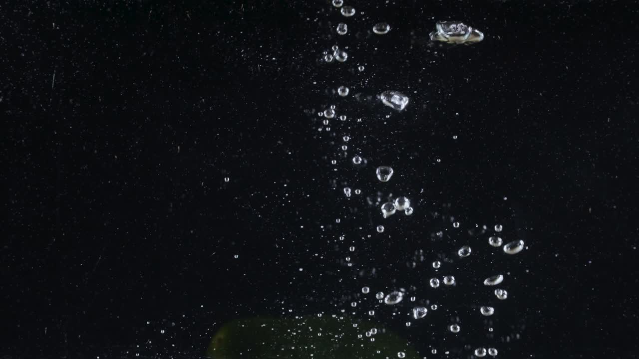 아보카도가 물에 어지는 모습