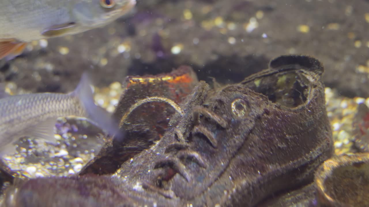 수질 오염과 관련된 환경 문제입니다.