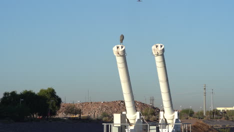 airplane flying through the sky toward arrival at destination with bird