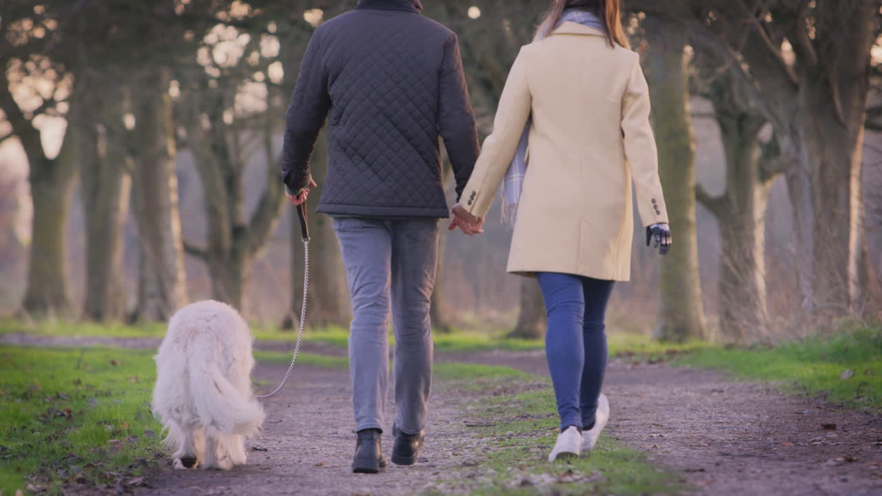 Rear View Of Couple With Woman With Prosthetic Hand Walking Pet Dog Through Winter Countryside