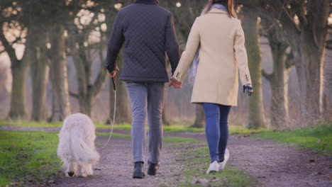 rear view of couple with woman with prosthetic hand walking pet dog through winter countryside