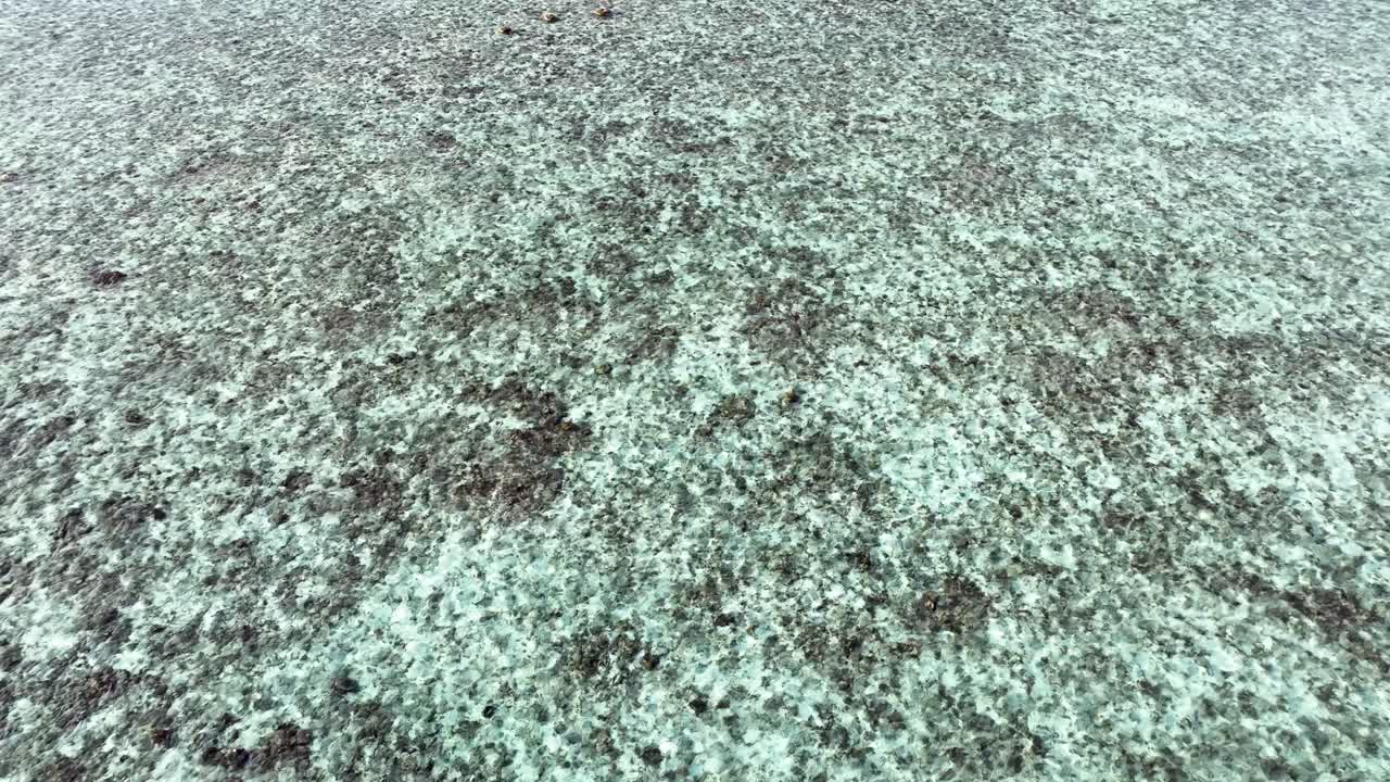 Crystal-clear Shallow Waters With Visible Coral Reefs On The Ocean Floor At Low Tide. aerial