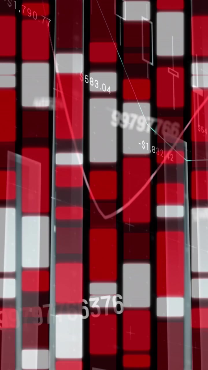 Animation of financial data processing over network of connection
