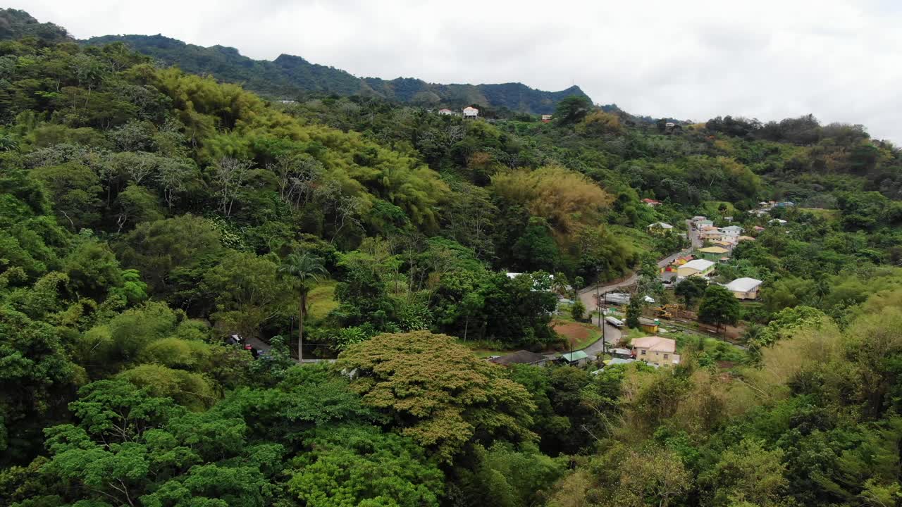 鬱蒼とした植物の中を縫うように走る小さなコミュニティ道路がある、緑豊かなグレナダの熱帯雨林