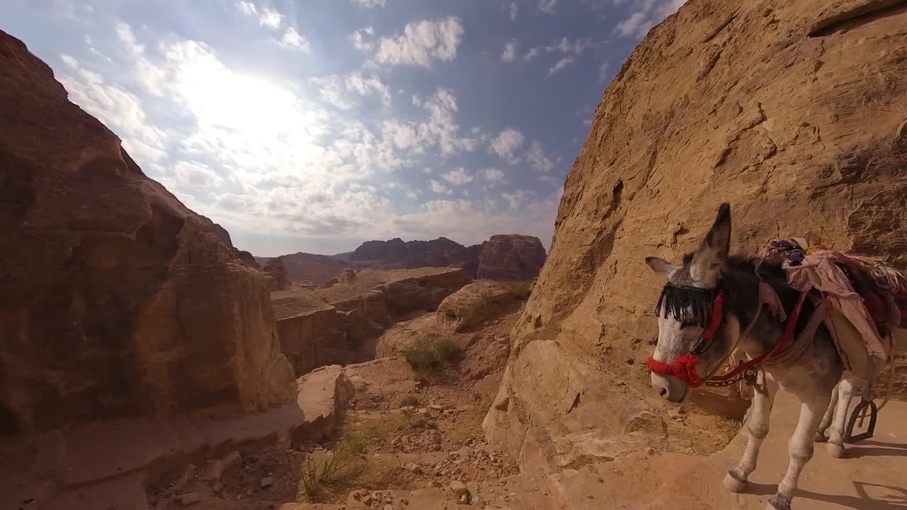 Walking around a donkey to descend into Petra's valley of tombs in Jordan
