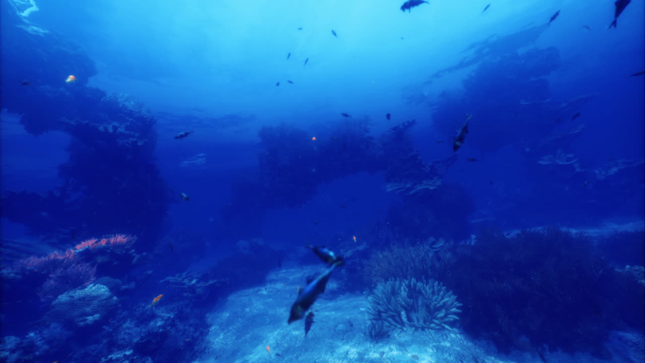 Gün ışığında canlı bir deniz yaşam alanında su altı keşfi