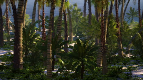 Playa-De-Palmeras-En-Una-Isla-Tropical-Idílica-Paradisíaca