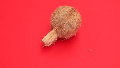 un coco entero sobre un fondo rojo