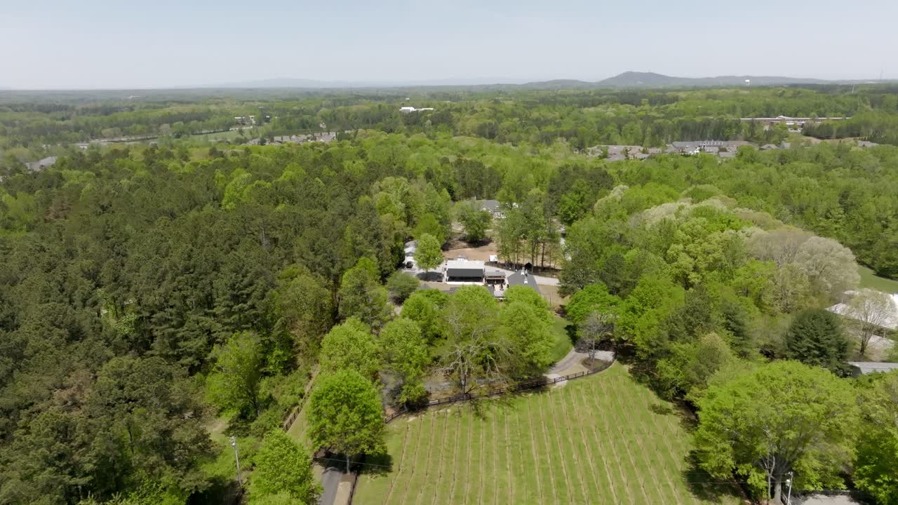 Stoney J's Winery grapevines on Stoney Point road, Cumming, Atlanta, Georgia, Drone shot