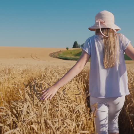 carefree baby walks in a field of golden wheat