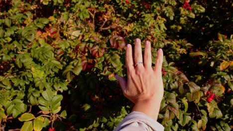 simple but beautiful golden ring on finger on young woman with greenery background