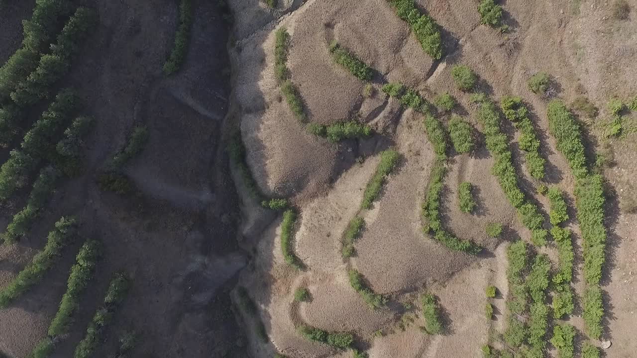 vista aérea de colinas y valles secos y ondulados