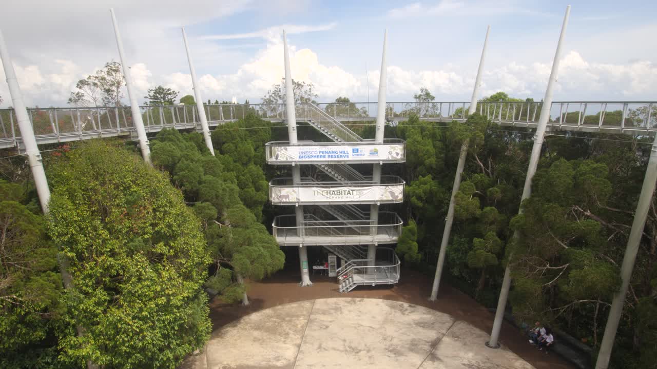 Curtis Crest Treetop Walk Of Penang Hill In Bukit Bendera, Penang, Malaysia. Tilt-up Shot
