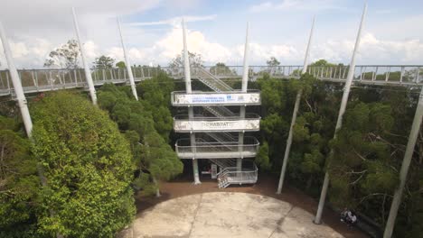 curtis crest treetop walk of penang hill in bukit bendera, penang, malaysia. tilt-up shot