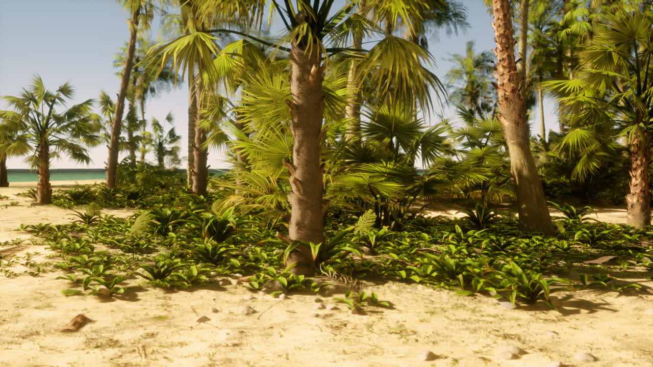 El paraíso de las playas tropicales