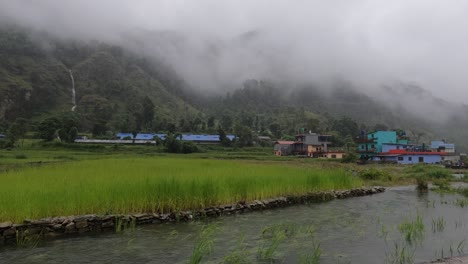 una vista de los arrozales con aguas de inundación en primer plano y montañas cubiertas de niebla en el fondo durante una fuerte tormenta en nepal