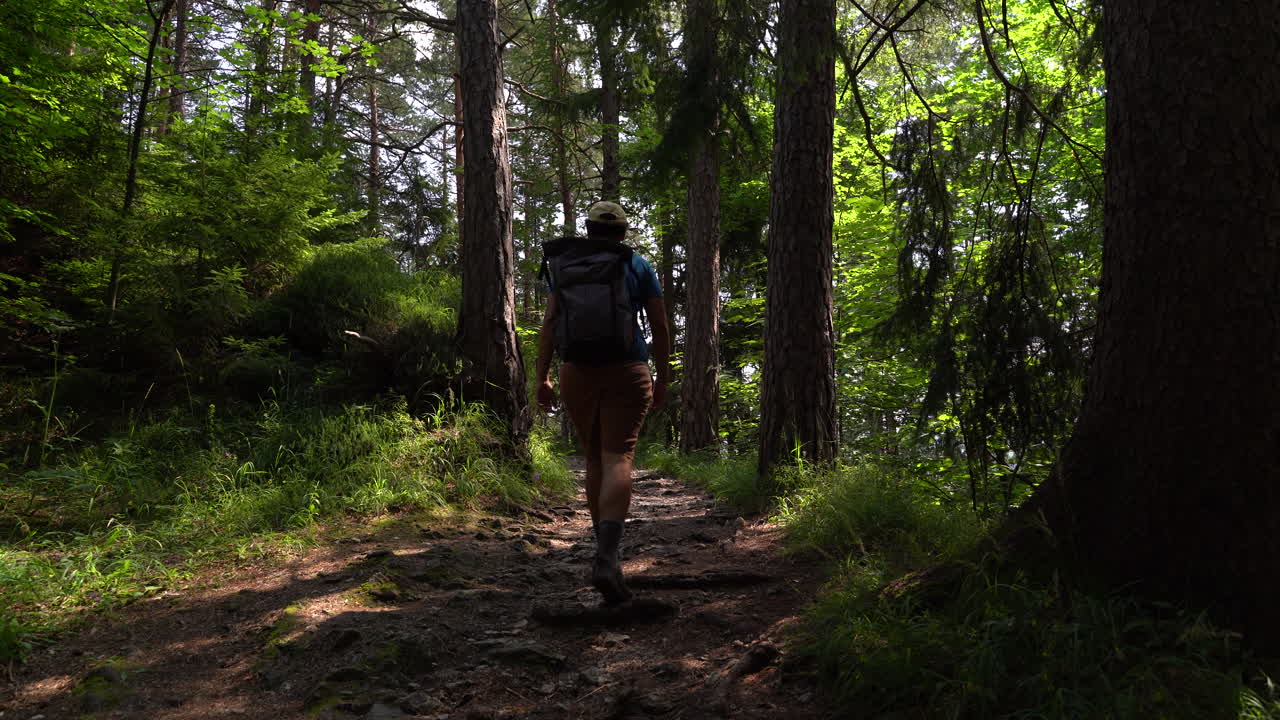 impresionantes paisajes dentro de un bosque verde y soleado con un caminante masculino caminando