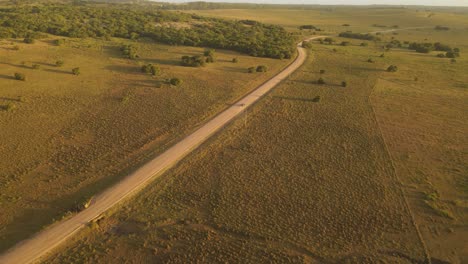 Cinematic-shot-of-car-driving-on-sandy-road-in-middle-of-green-growing-national-park-at-sunset