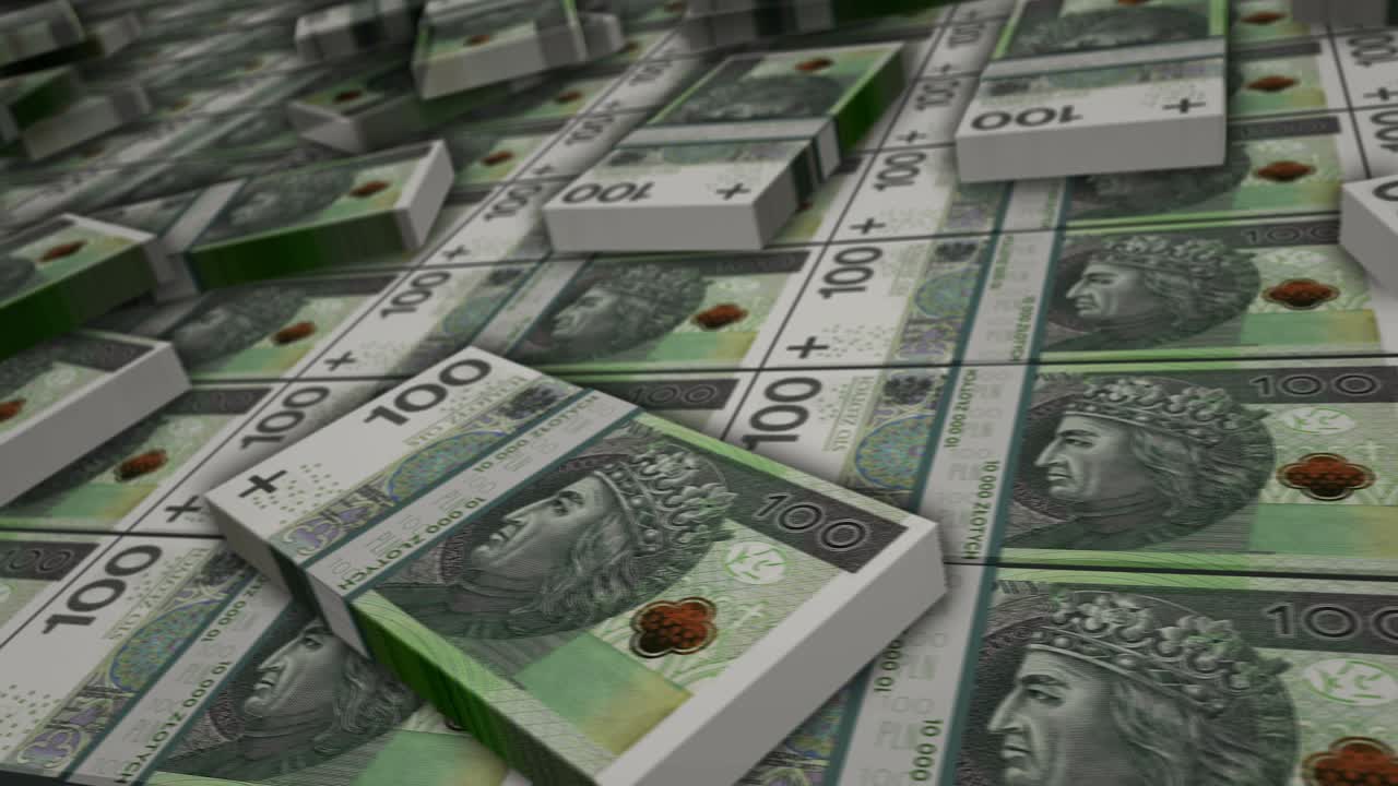 폴란드 슬로티 pln 돈 지폐  루프 애니메이션