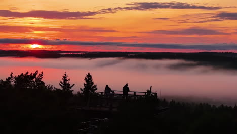 magical, jaw dropping, awe inspiring sunset views from kemeri national park in jamala, latvia; hiking tours (bog trail) observation tower overlooking a magical ecosystem along the baltic sea.
