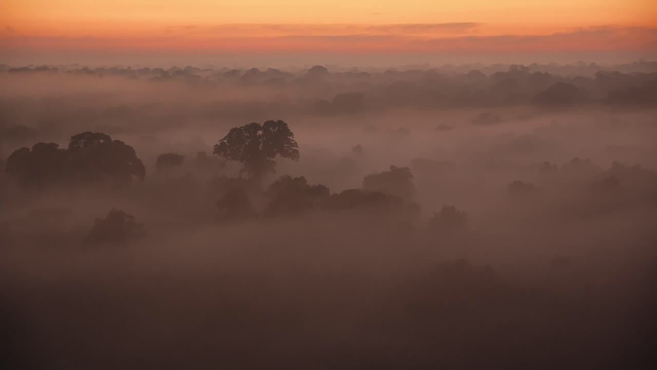 toma estática de establecimiento de la reserva nacional de tambopata al amanecer, cubierta de niebla