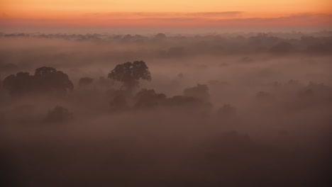 Toma-Estática-De-Establecimiento-De-La-Reserva-Nacional-De-Tambopata-Al-Amanecer,-Cubierta-De-Niebla