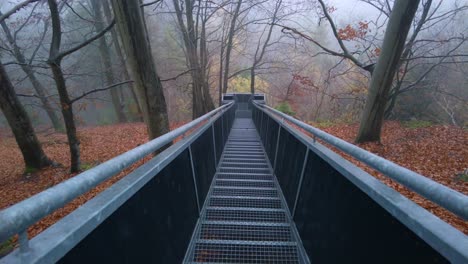 High angle shot over narrow metal stairways through an autumnal forest on a foggy morning