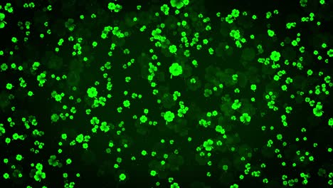 animated clover background