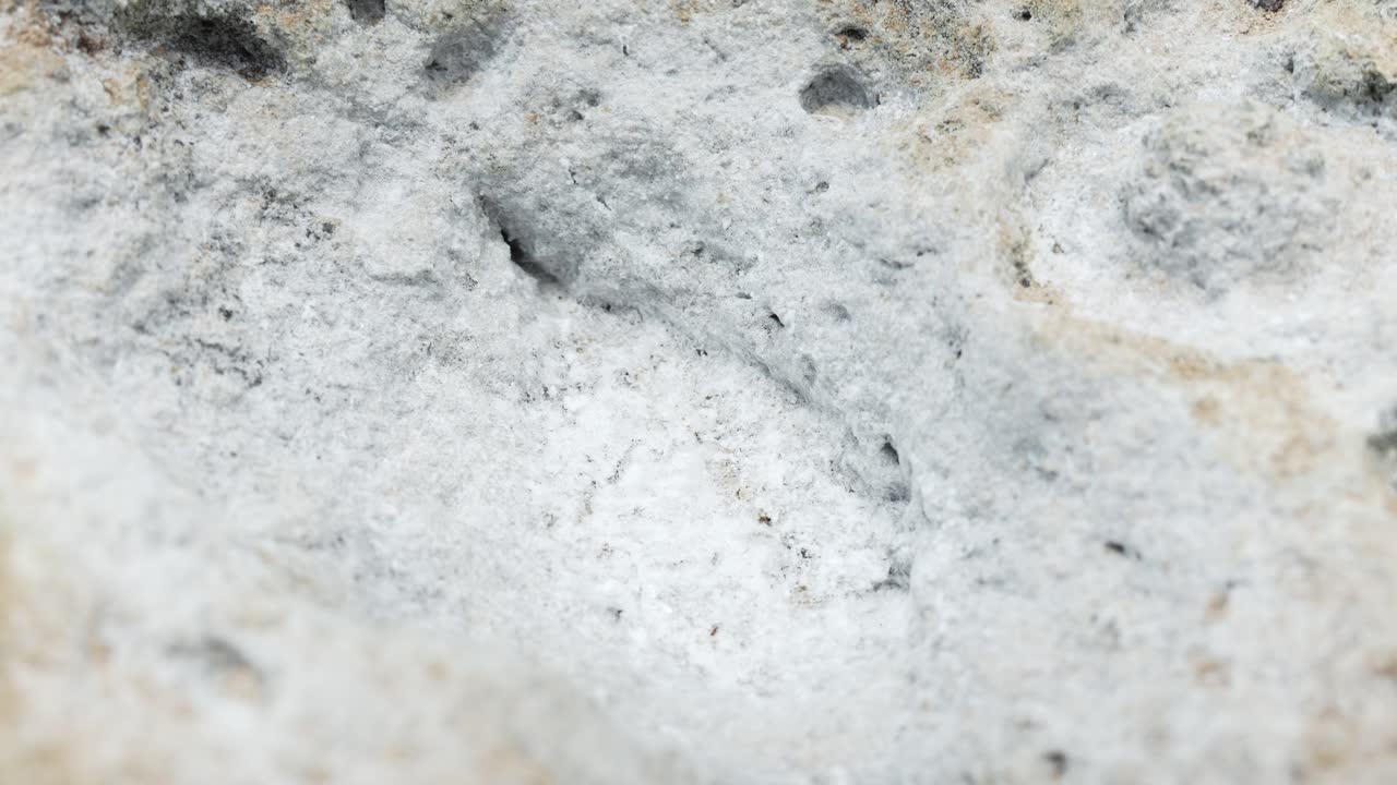 바위 위의 바다 소금. 테네리페, 카나리아 제도, 스페인